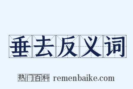 垂去反义词是什么意思的图片